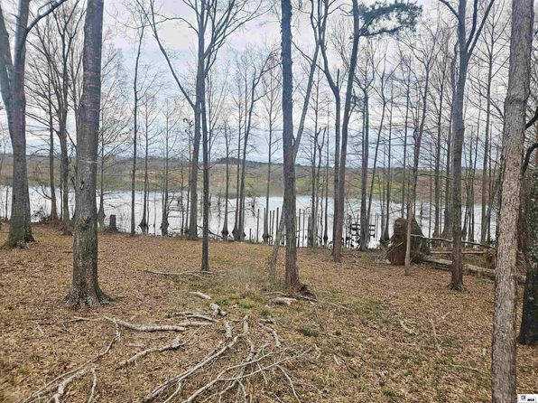 358 Lolley Rd, Downsville, LA 71234