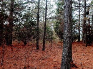 1 Howell Rd #C, Zebulon, GA 30295