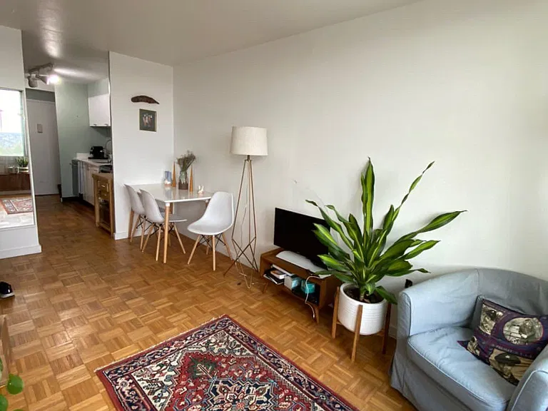 604 S Washington Sq #1113 — Photo 5