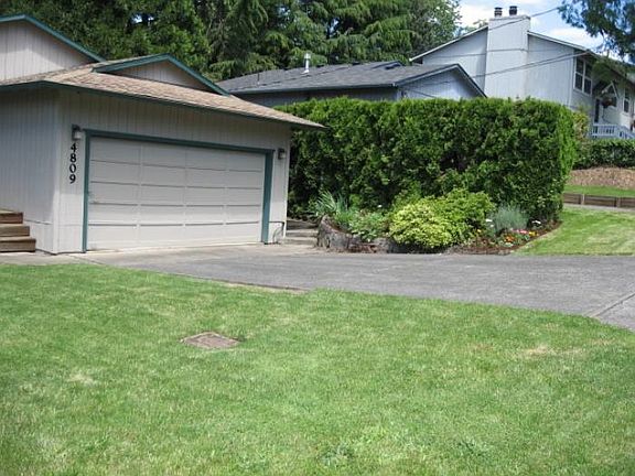 Professional Landscaping