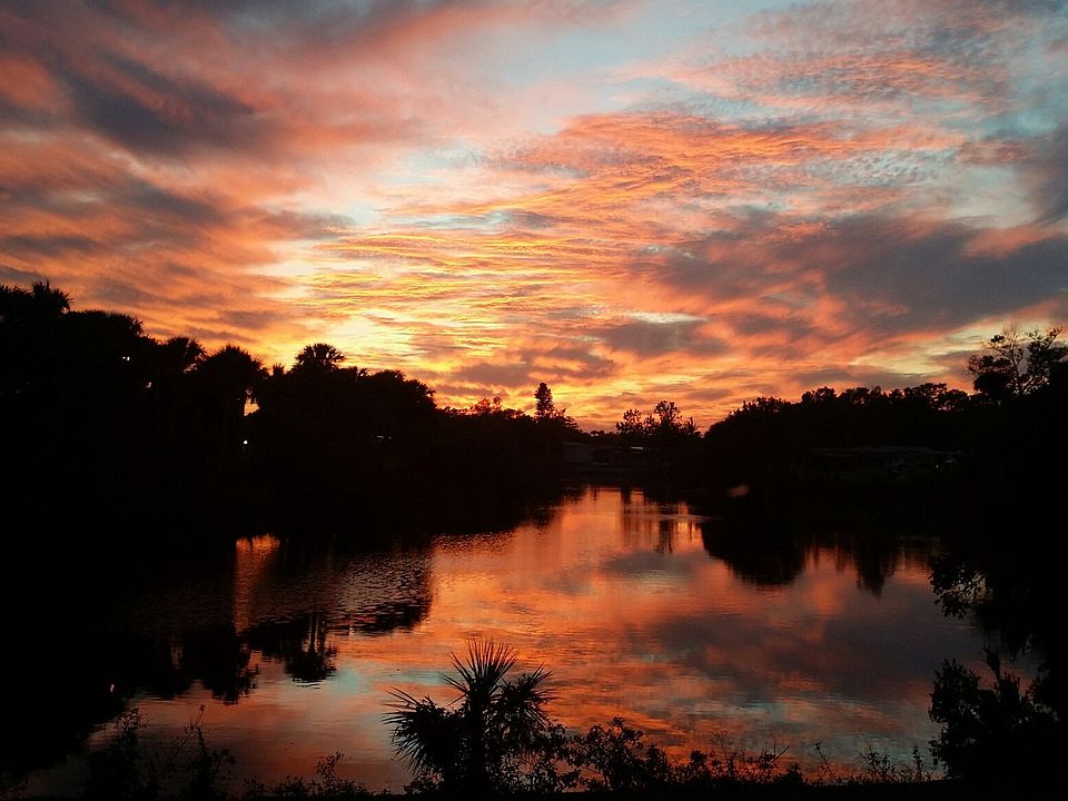 every night spectacular suns