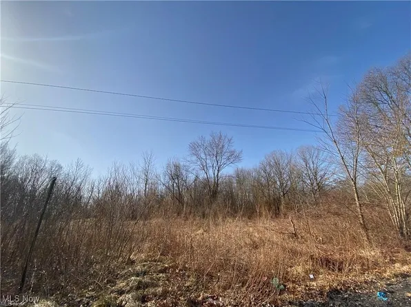 James St, Niles, OH 44446