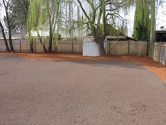 Back Yard - Seed Plated