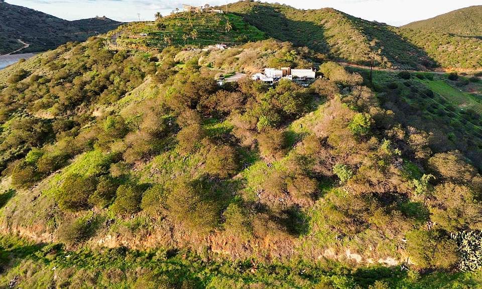 1st image of 121 Avo Dr