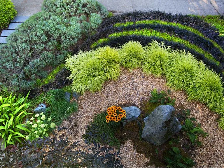 front garden from the East windows looking down