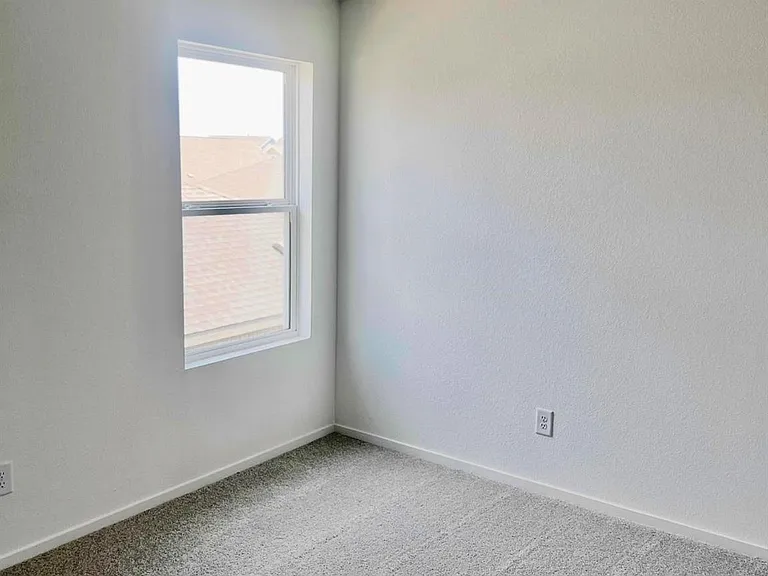 29023 Great Flatland Trl — Photo 13