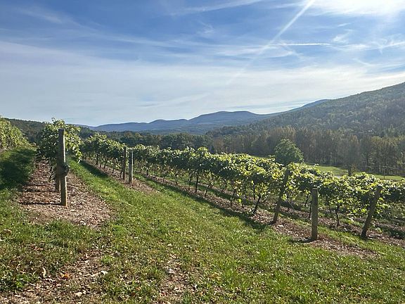 4th image of 00WP Travis Hill Rd