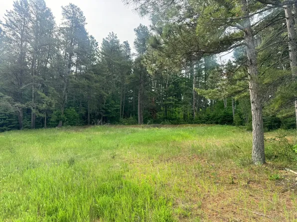 TRACT 1 County Road 13, Nevis, MN 56467
