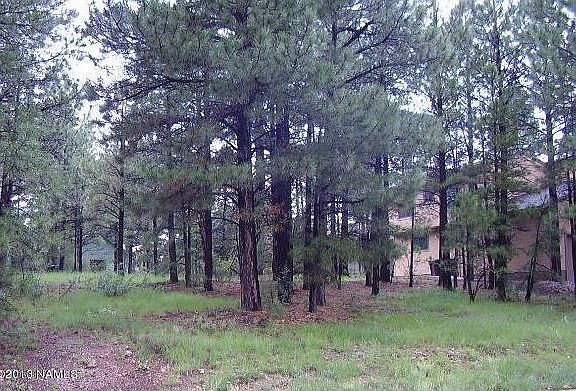 5th image of 4047 E Fallen Oak Way