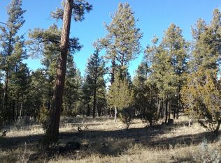 2322 Elk Ridge Ln, Overgaard, AZ 85933