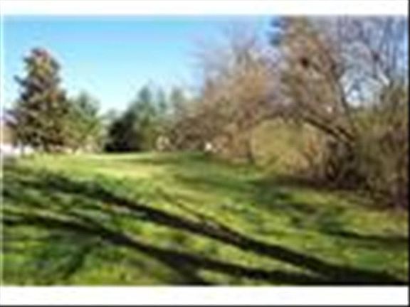 5th image of 14062 Forest Crest Dr