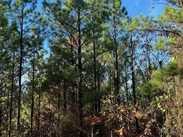 117 Sugar Plum Ln #541, Broken Bow, OK 74728