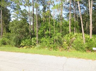 1113 Avocado Blvd, Bunnell, FL 32110