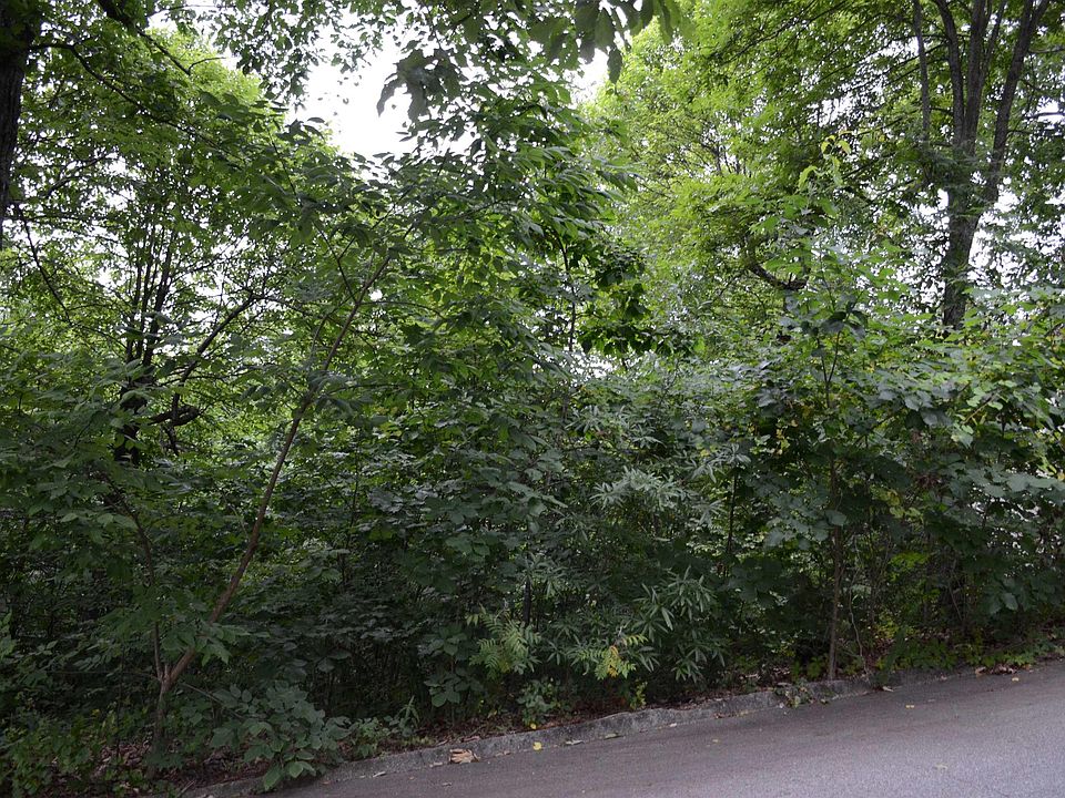 1st image of 0 Altamont Forest Dr Lot 17