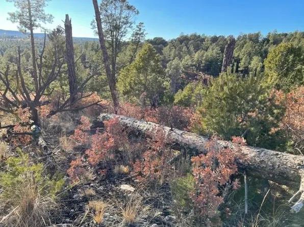6 Miles Loop, Timberon, NM 88350
