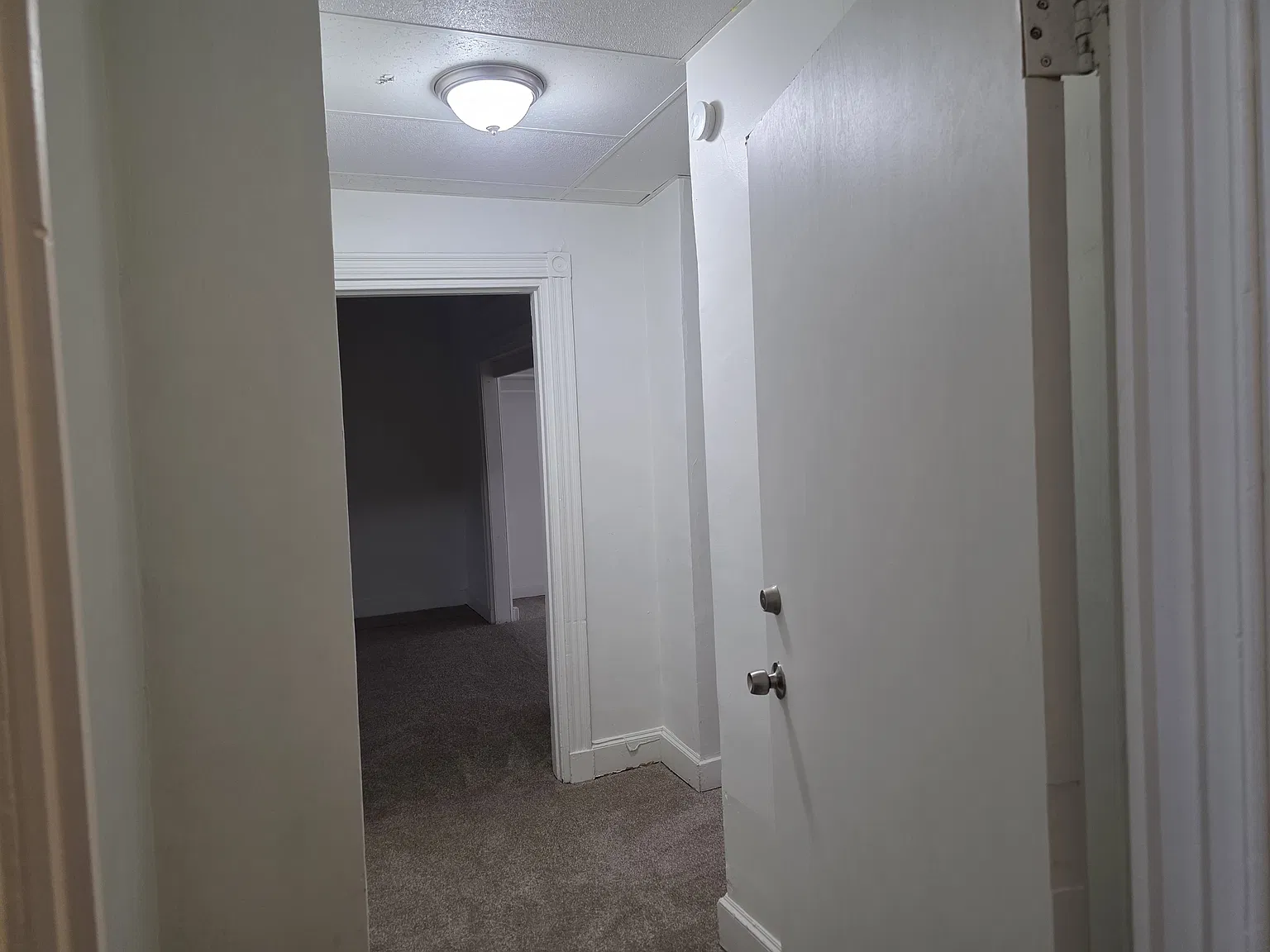 3 bed, 1000 sqft, $1,350 — Photo 2