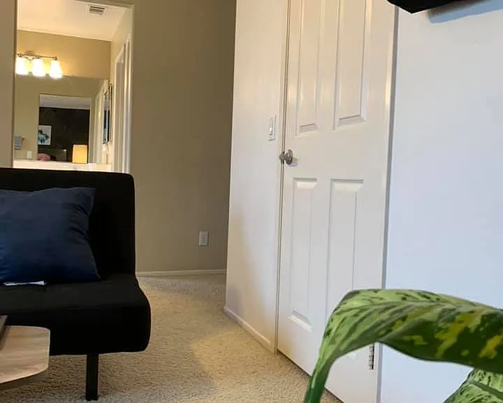 11 Robins Tree Ln — Photo 5