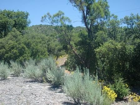 2nd image of 000 Camino San Ignacio