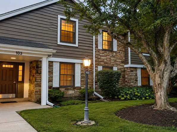 103 Marble Hill Ct Unit B2, Schaumburg, IL 60193