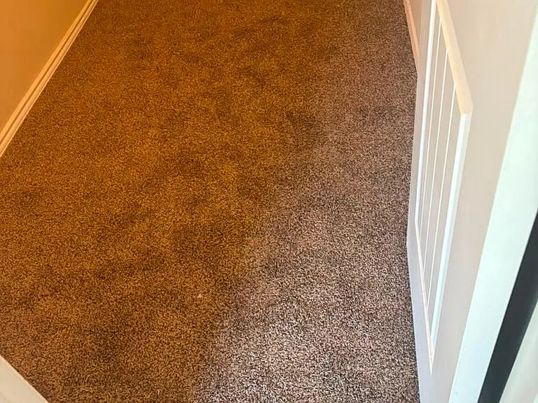 2808 Houston Wood Dr — Photo 24