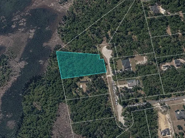 CHINABERRY WAY LOT 01000, EUSTIS, FL 32736