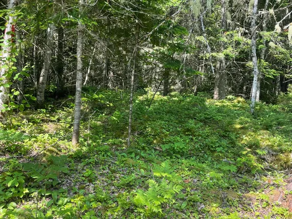 99 Hastings Road, Jackman, ME 04945