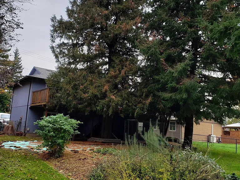 back of house