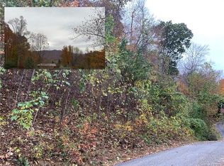 99999 Patton Cove Rd, Swannanoa, NC 28778