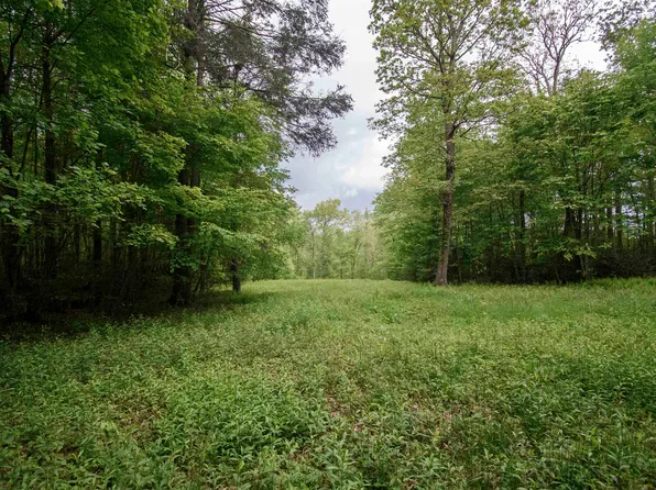 Tbd Keno Rd, Laurel Fork, VA 24352