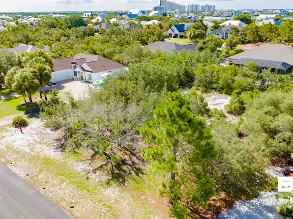 0 Pine Run Dr, Orange Beach, AL 36561