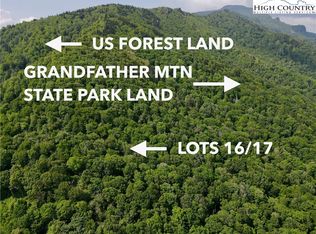 16/17 Spice Bottom Trl, Banner Elk, NC 28604