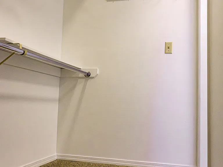 Master closet (walk-in)