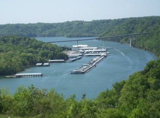 14 Amonett Ln, Byrdstown, TN 38549