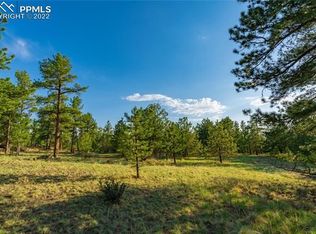 162 Icarus Dr, Florissant, CO 80816