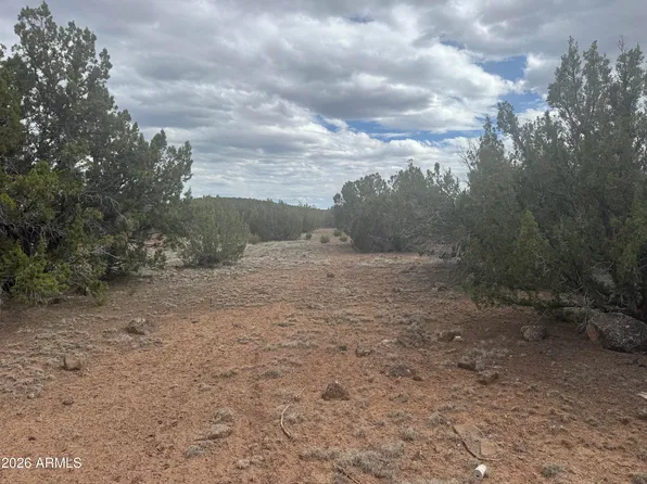 Lot 164 Mesa Redondo -- #164, Concho, AZ 85924