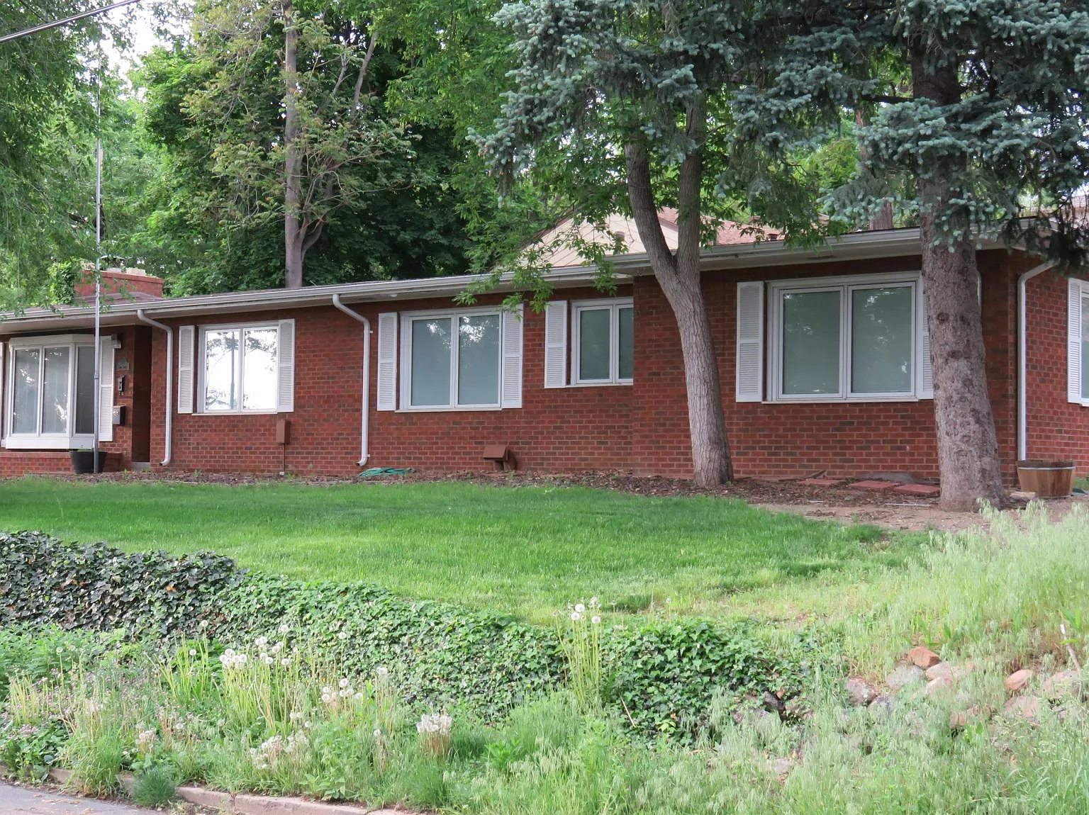 3 bed, 1550 sqft, $3,695 — Photo 3