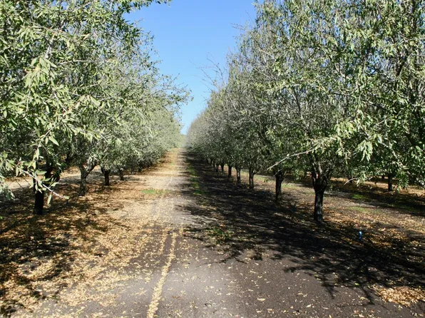 Tim Bell Rd, Waterford, CA 95386