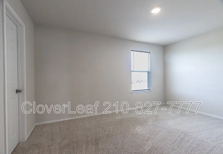 6823 Ashcat — Photo 23