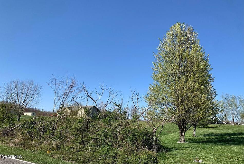 2nd image of 16 Bowman Loop