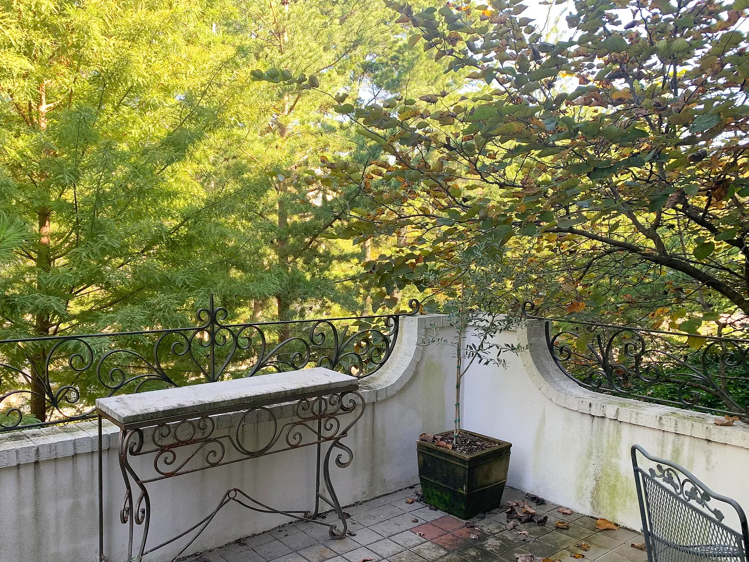 Ivory House — photo 14