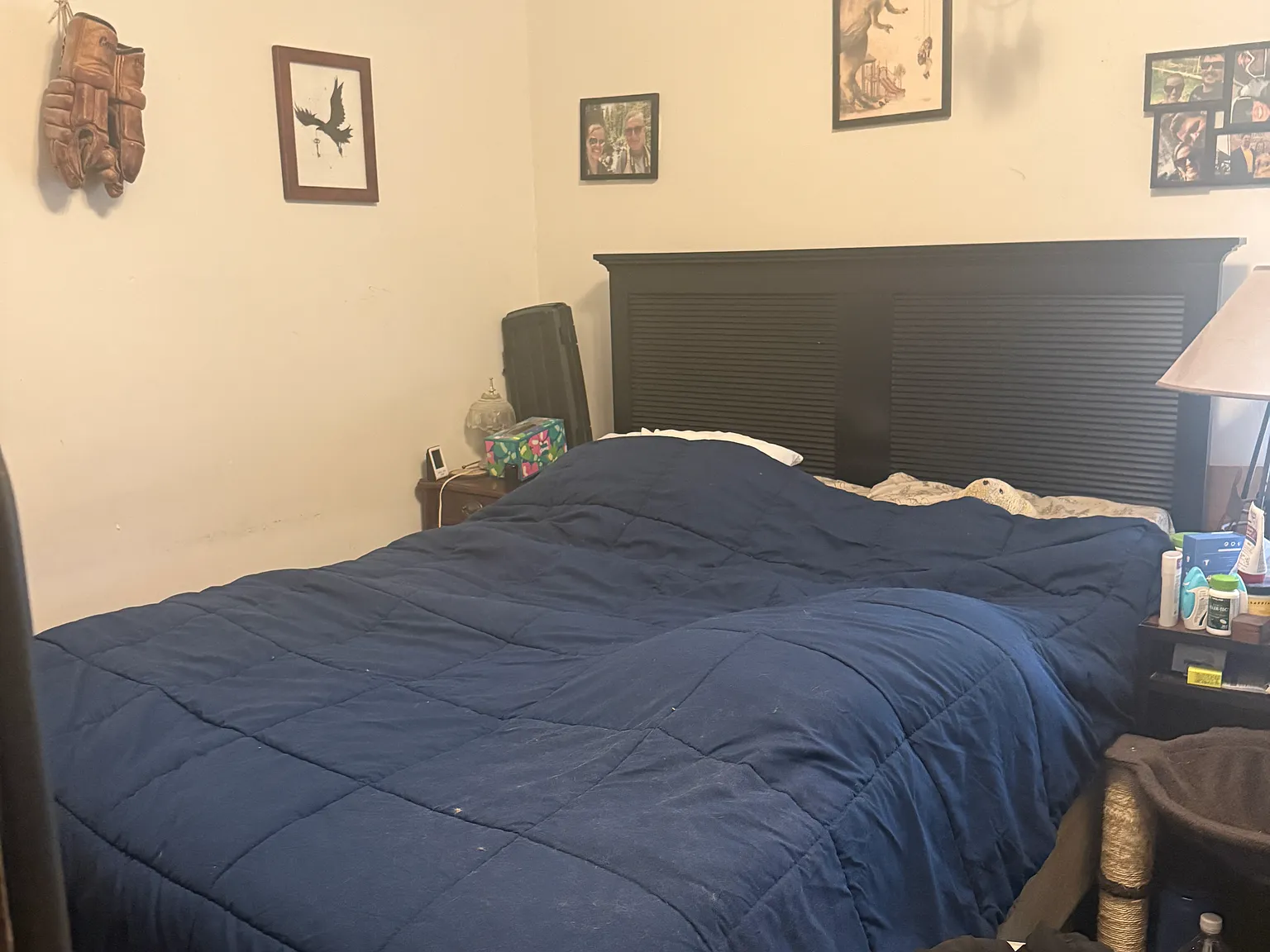 1 bed, 495 sqft, $1,050 — Photo 3