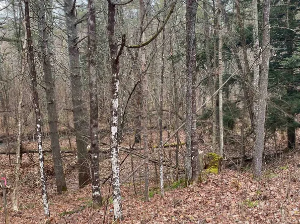 0 Wells Brook Road, Wells, VT 05774