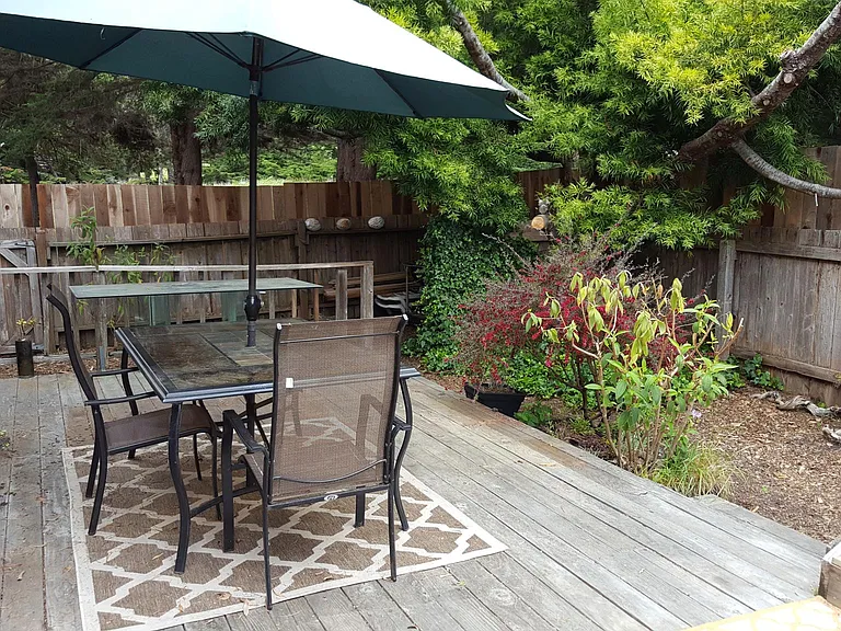 Fenced back yard