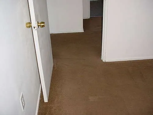 3453 Jemez Dr — Photo 3