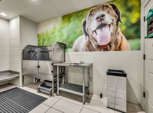 Agave at South Congress, Austin, TX 78745