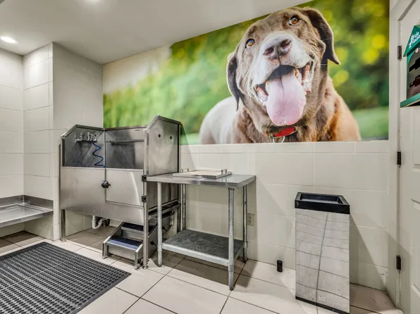 Agave at South Congress