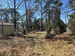 3rd image of Apple Tree