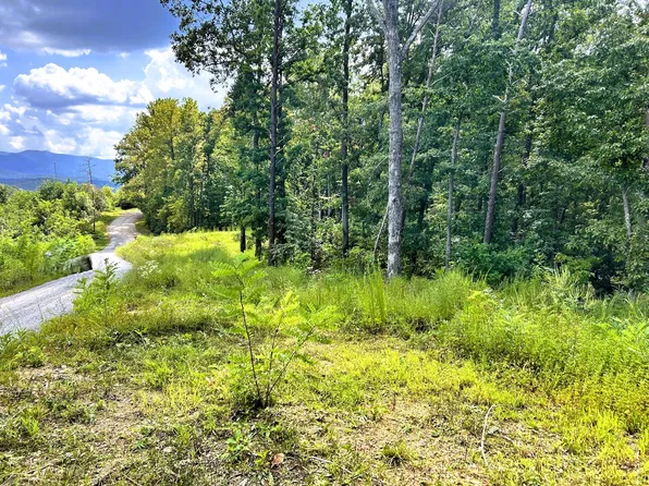 107/125 Chestnut Mountain Rd, Reliance, TN 37369