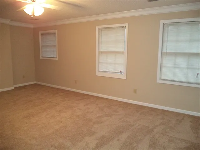 1517 Autumn Ridge Dr — Photo 11