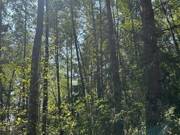 0 xxx Forest View Lane, Greenbank, WA 98253